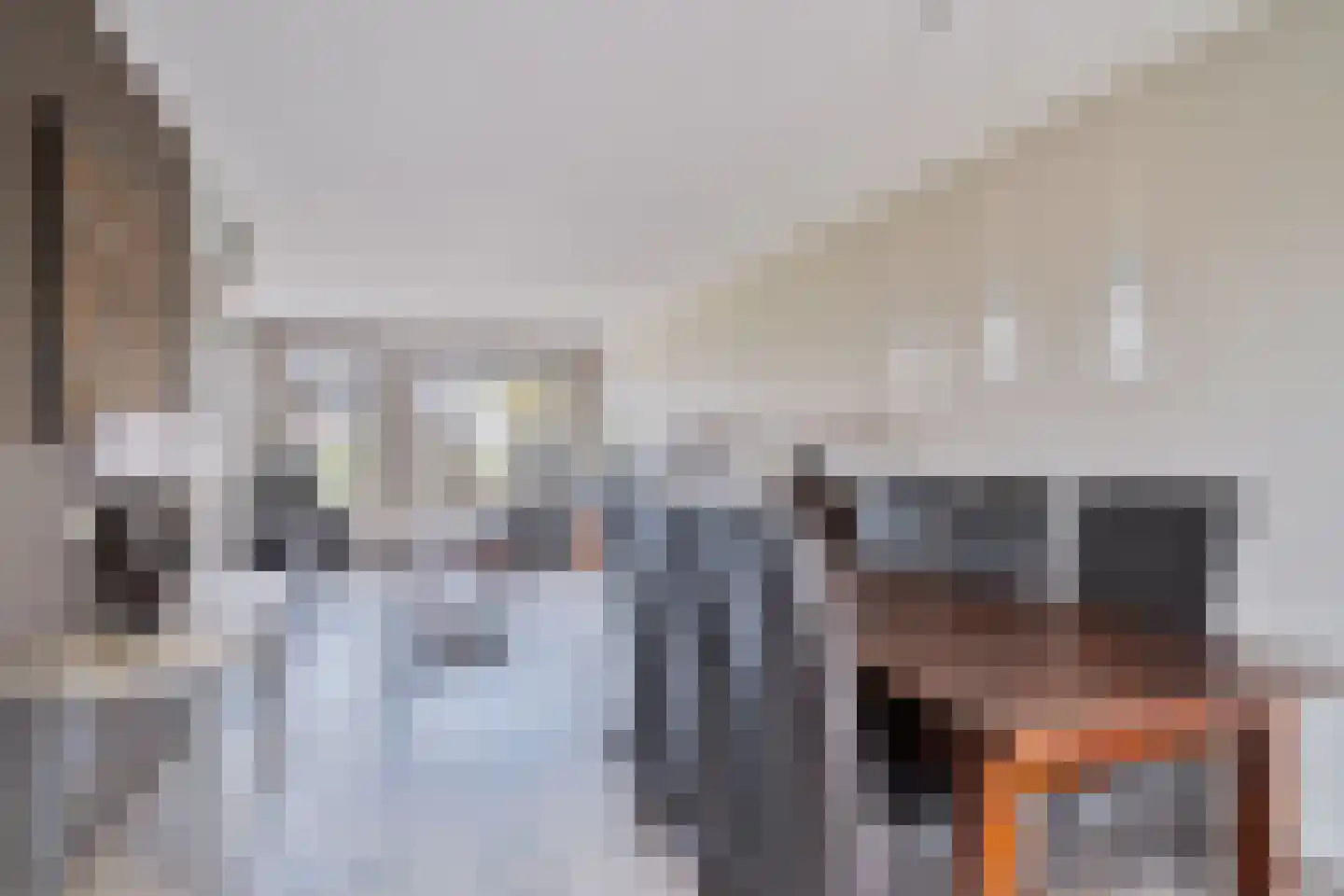 Dille 2 Dronten thumbnail 12