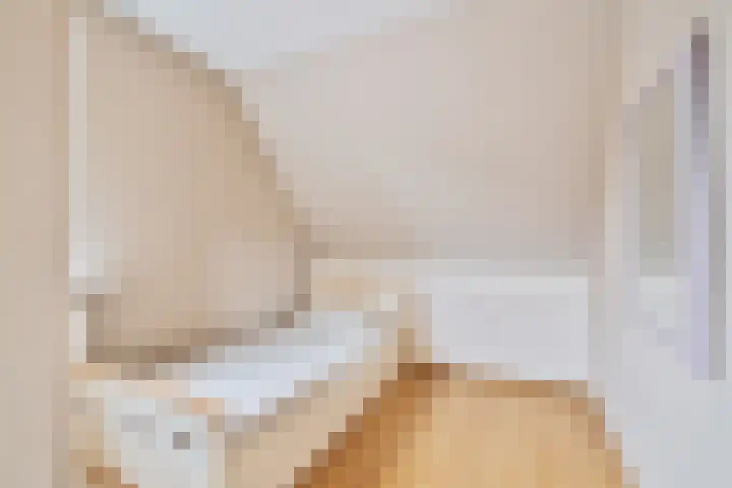 Dille 2 Dronten thumbnail 16