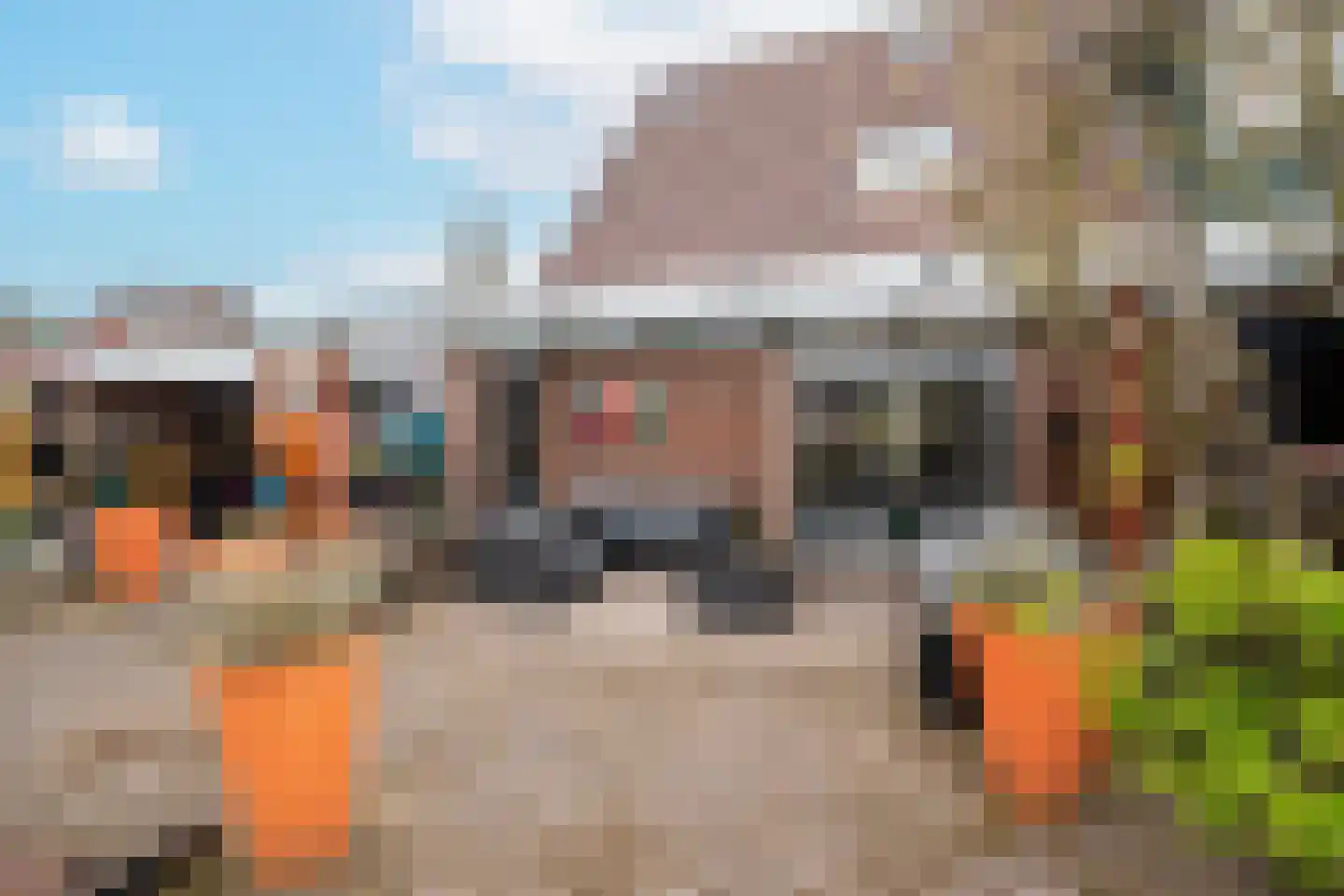 Dille 2 Dronten thumbnail 23