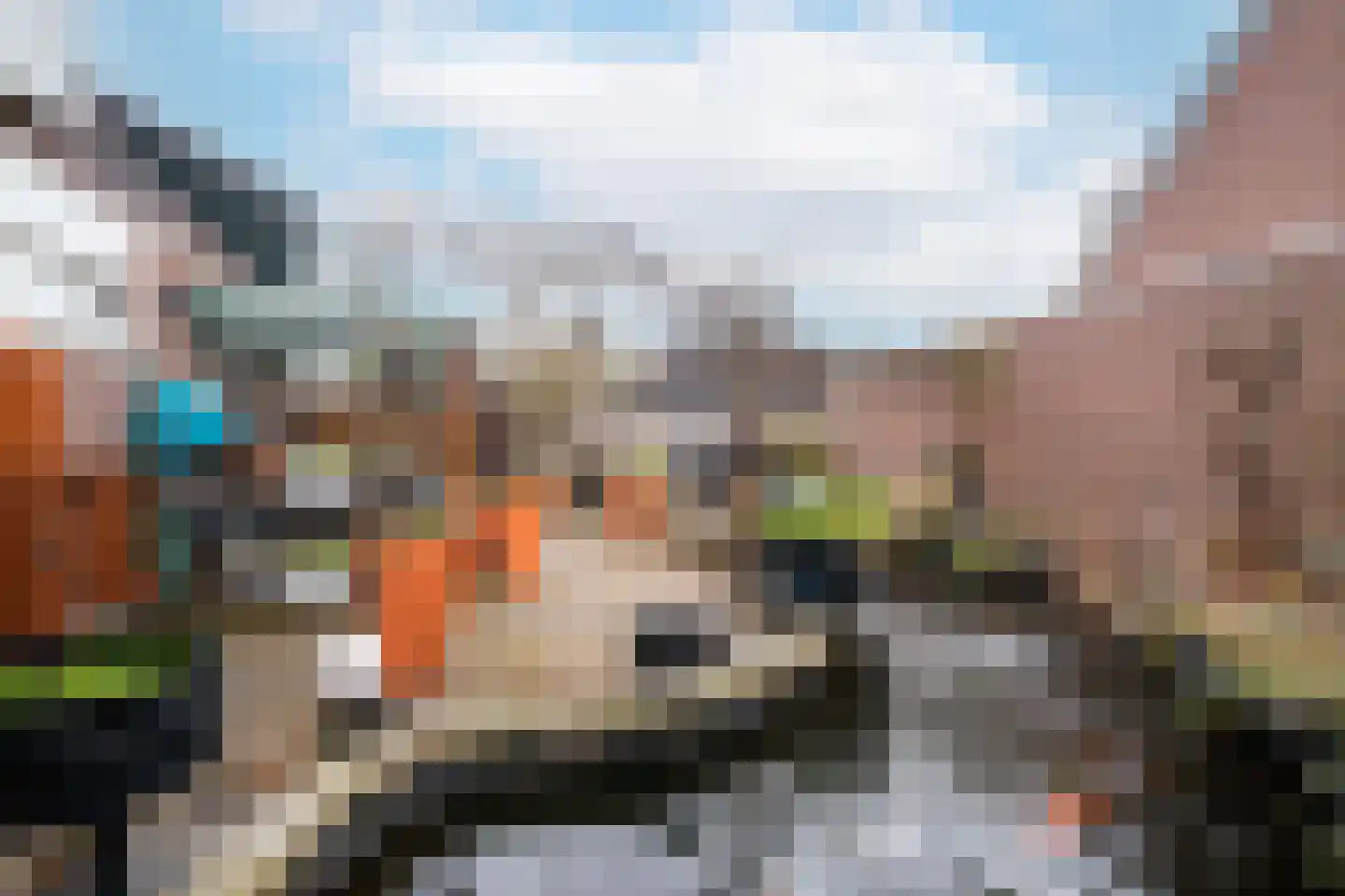 Dille 2 Dronten thumbnail 4