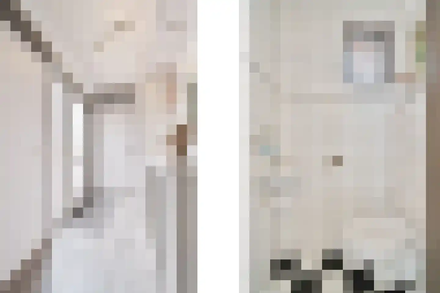 Dille 2 Dronten thumbnail 7