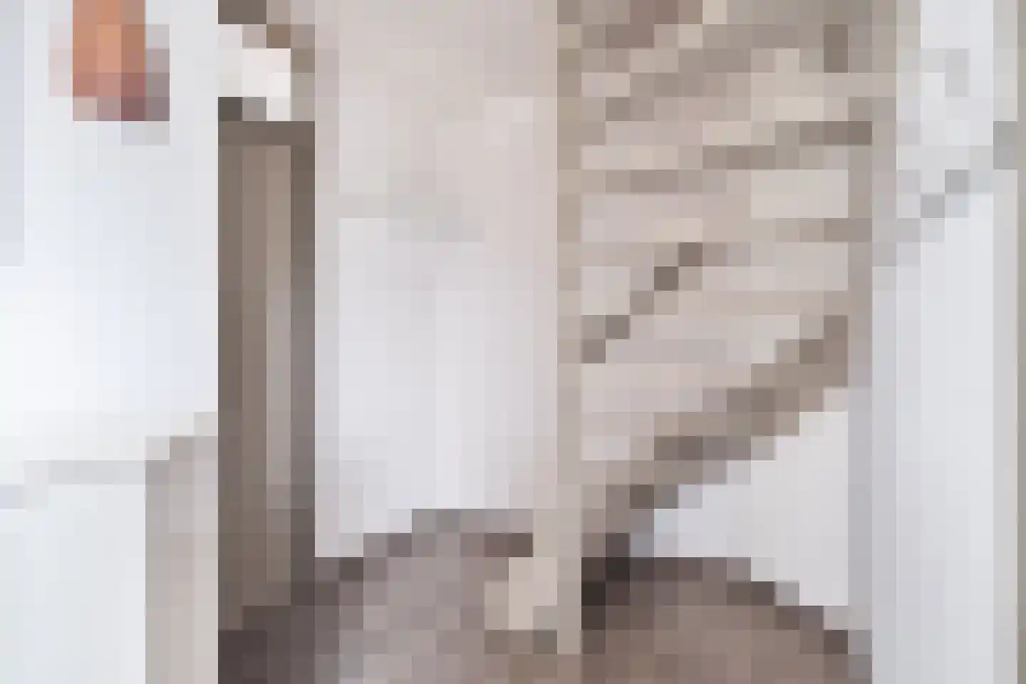 Dille 2 Dronten thumbnail 8