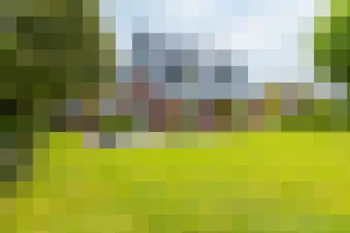 Dille 25 Gorredijk thumbnail 10
