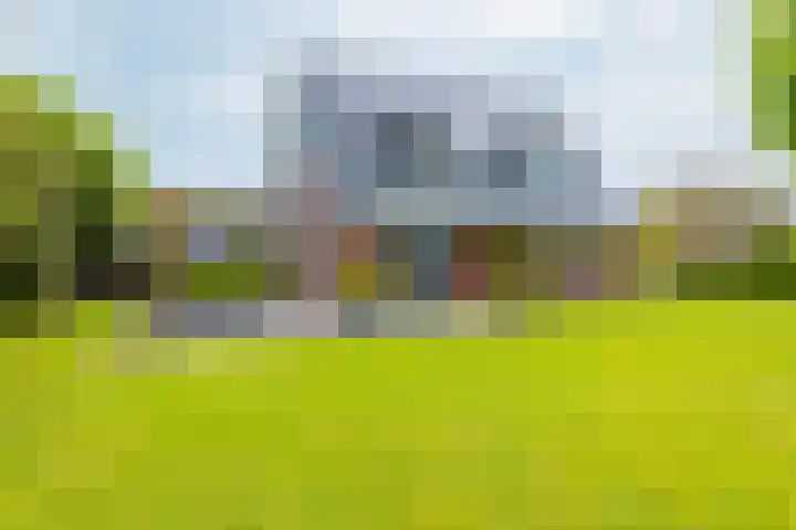 Dille 25 Gorredijk thumbnail 11