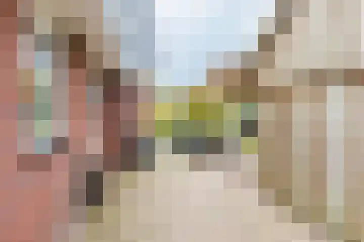 Dille 25 Gorredijk thumbnail 13