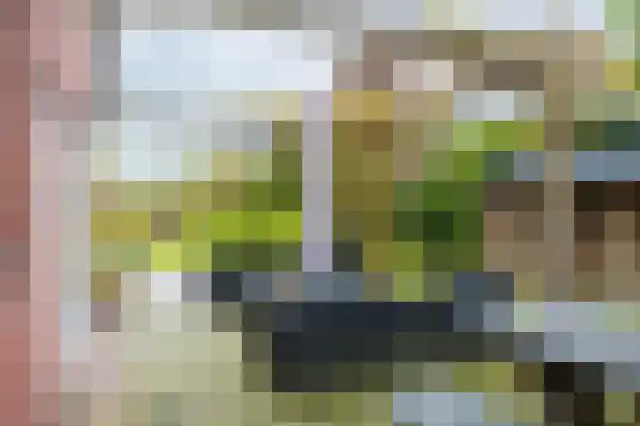 Dille 25 Gorredijk thumbnail 14