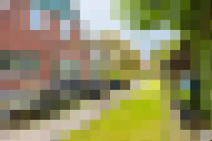 Dille 25 Gorredijk thumbnail 15