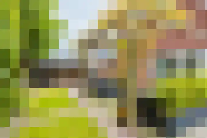 Dille 25 Gorredijk thumbnail 17
