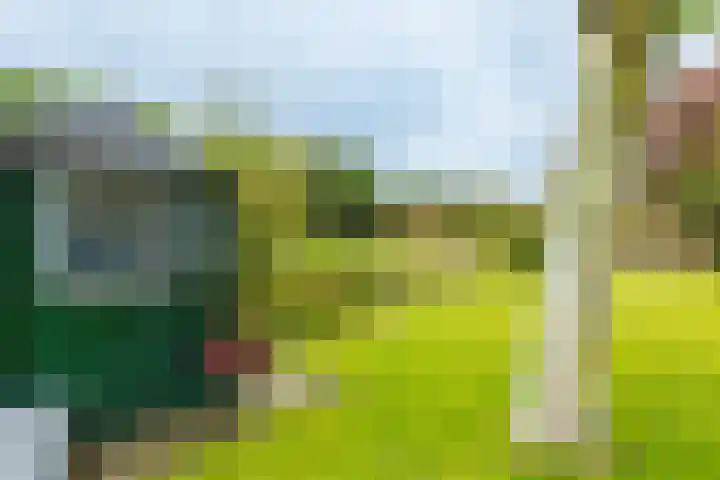 Dille 25 Gorredijk thumbnail 20