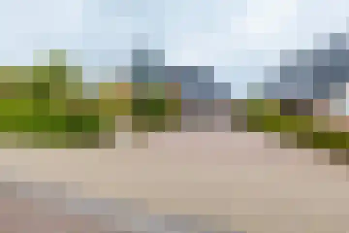 Dille 25 Gorredijk thumbnail 22