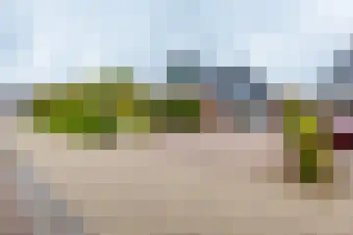 Dille 25 Gorredijk thumbnail 23