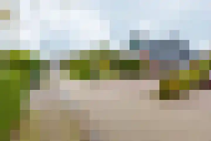 Dille 25 Gorredijk thumbnail 24