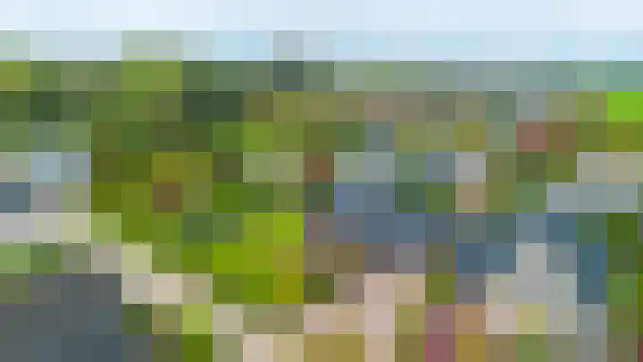 Dille 25 Gorredijk thumbnail 25