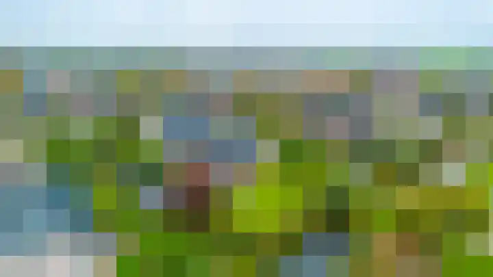 Dille 25 Gorredijk thumbnail 26