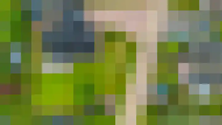 Dille 25 Gorredijk thumbnail 27