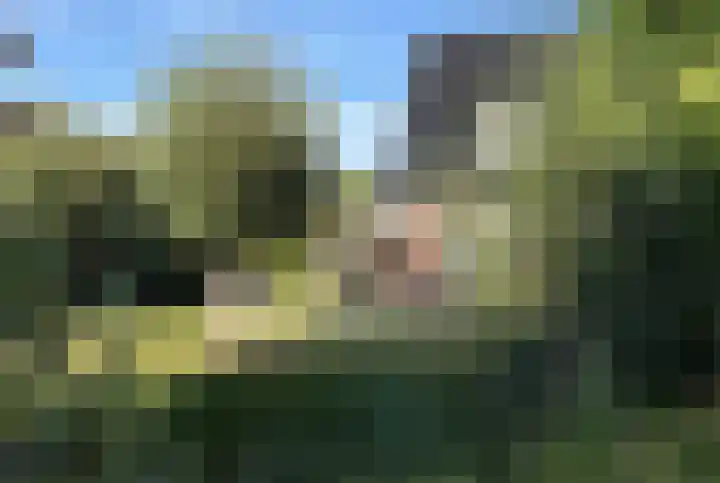Dille 25 Gorredijk thumbnail 28