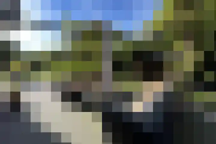 Dille 25 Gorredijk thumbnail 29