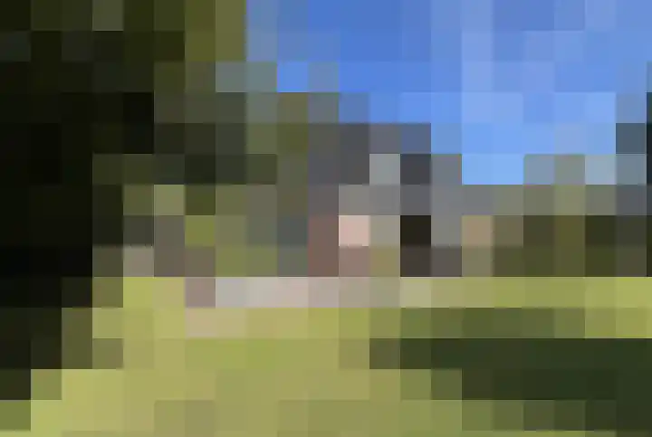 Dille 25 Gorredijk thumbnail 30