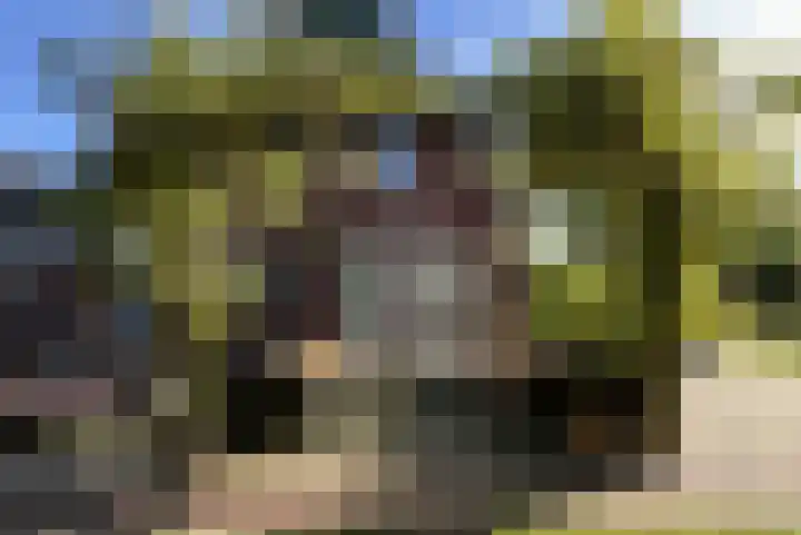 Dille 25 Gorredijk thumbnail 31