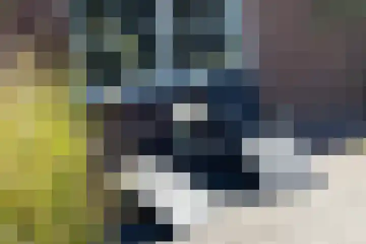 Dille 25 Gorredijk thumbnail 33