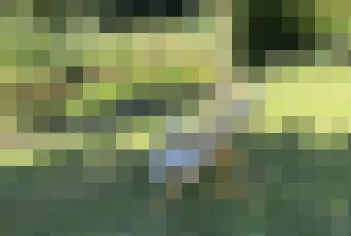 Dille 25 Gorredijk thumbnail 34