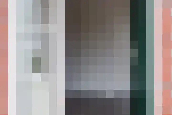 Dille 25 Gorredijk thumbnail 35