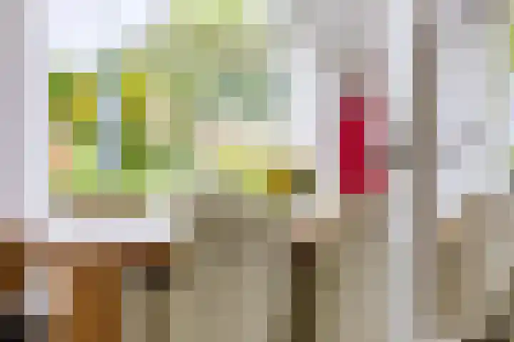 Dille 25 Gorredijk thumbnail 38