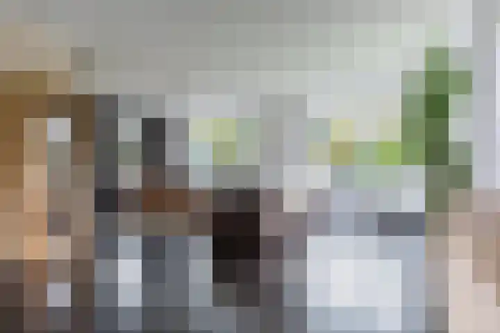 Dille 25 Gorredijk thumbnail 39