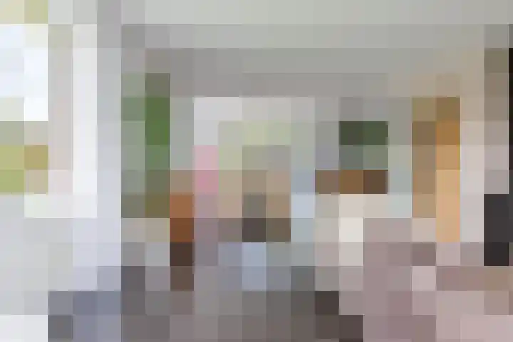 Dille 25 Gorredijk thumbnail 41