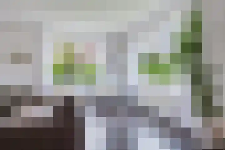 Dille 25 Gorredijk thumbnail 42