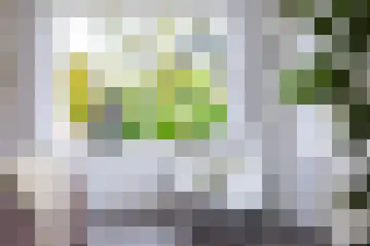 Dille 25 Gorredijk thumbnail 43