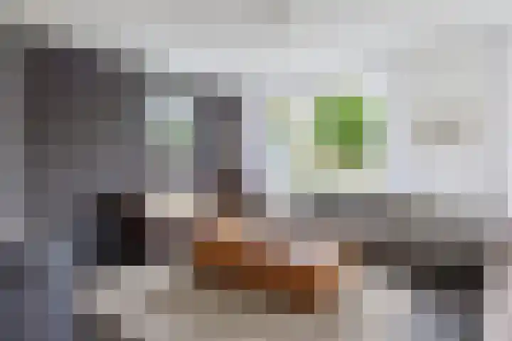 Dille 25 Gorredijk thumbnail 45