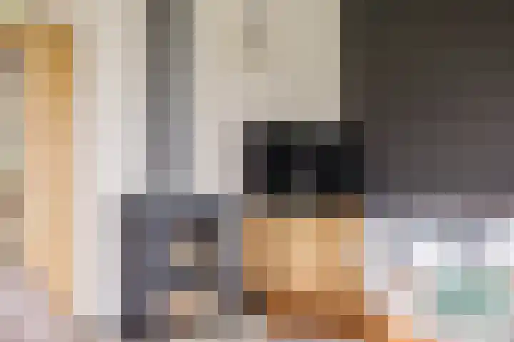 Dille 25 Gorredijk thumbnail 46