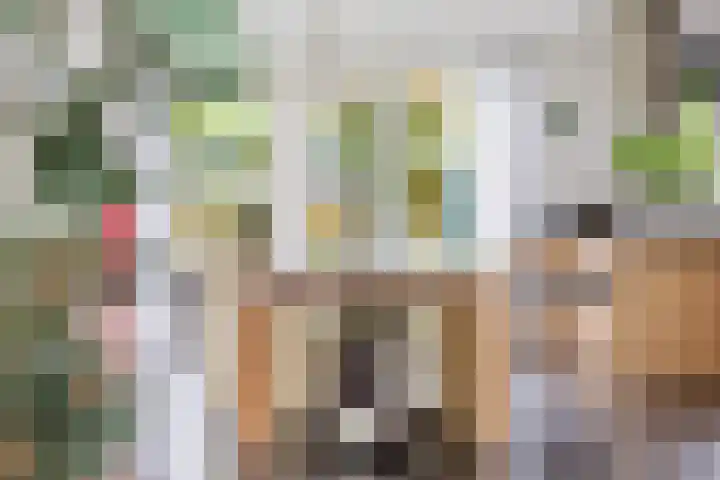Dille 25 Gorredijk thumbnail 47