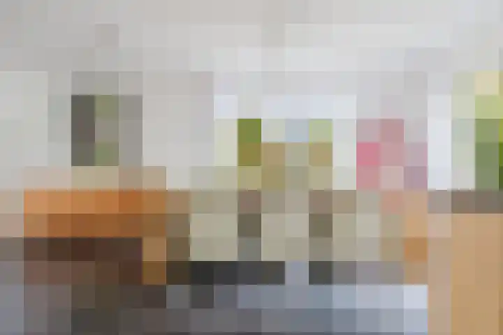 Dille 25 Gorredijk thumbnail 49