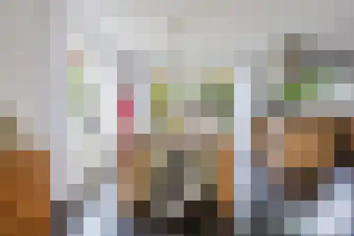 Dille 25 Gorredijk thumbnail 50