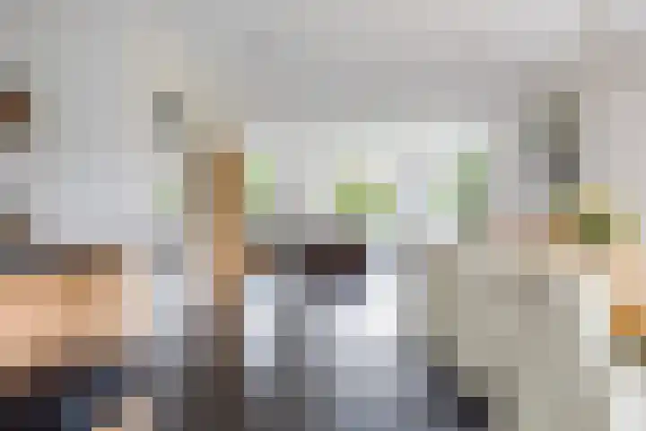 Dille 25 Gorredijk thumbnail 51