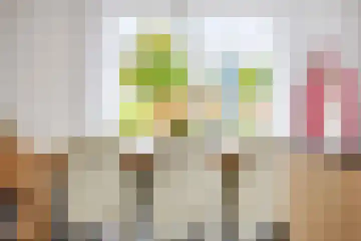 Dille 25 Gorredijk thumbnail 52