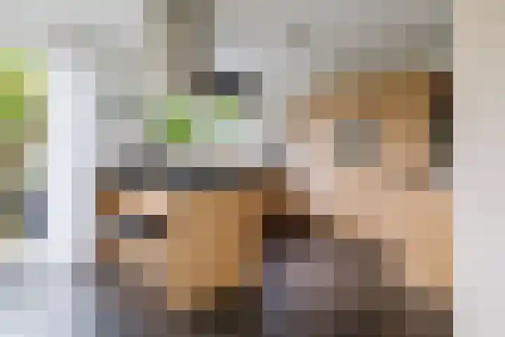 Dille 25 Gorredijk thumbnail 53