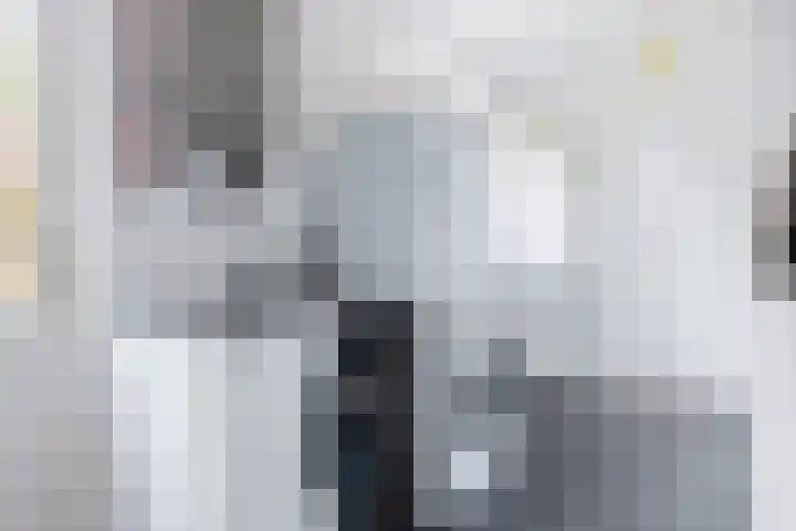 Dille 25 Gorredijk thumbnail 56