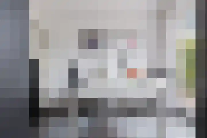 Dille 25 Gorredijk thumbnail 59