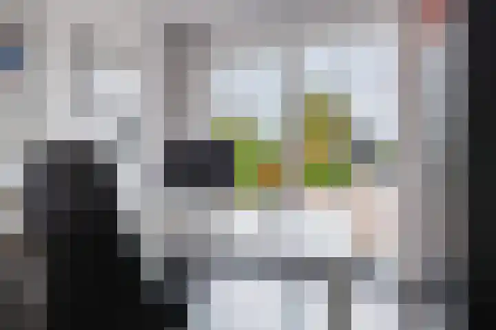 Dille 25 Gorredijk thumbnail 60