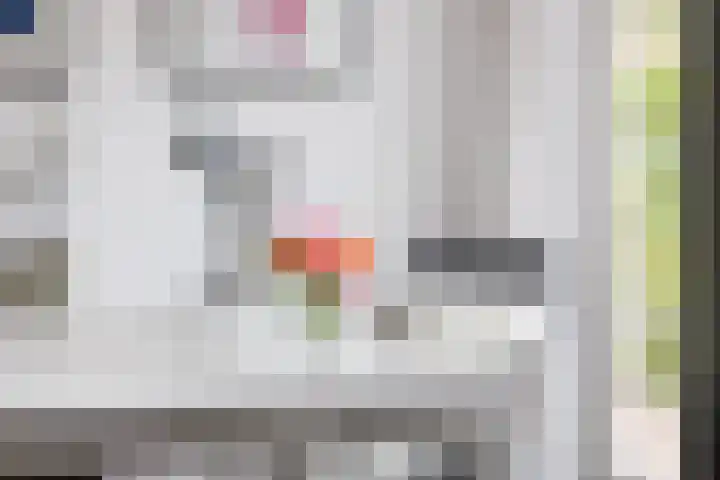 Dille 25 Gorredijk thumbnail 61