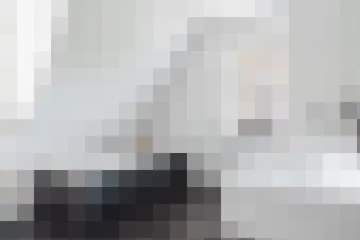 Dille 25 Gorredijk thumbnail 64