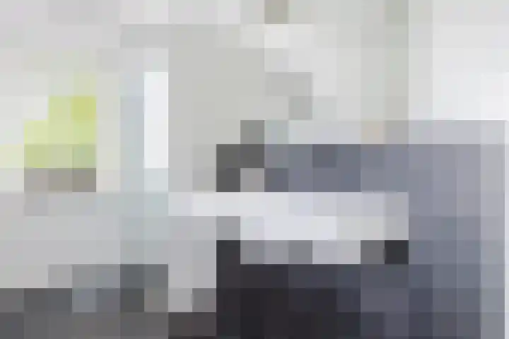 Dille 25 Gorredijk thumbnail 65