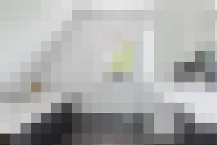 Dille 25 Gorredijk thumbnail 67