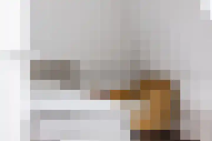 Dille 25 Gorredijk thumbnail 70
