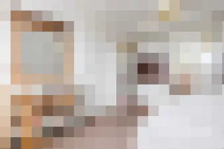 Dille 25 Gorredijk thumbnail 73