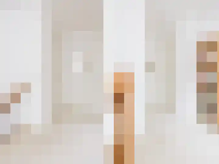Dille 25 Gorredijk thumbnail 75