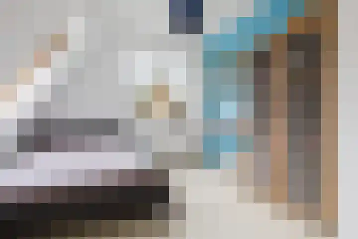 Dille 25 Gorredijk thumbnail 76